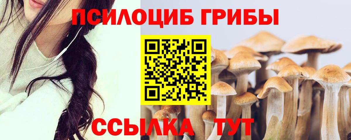 Северобайкальск  Псилоцибиновые грибы мицелий  Псилоцибиновые грибы Magic Shrooms  Вход с VPN 